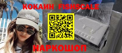 дживик Можга