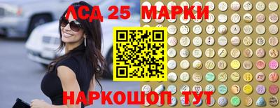 дживик Можга