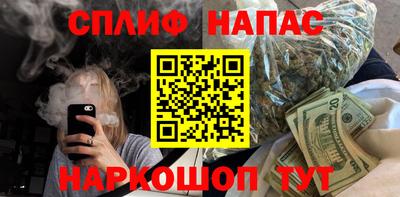 дживик Можга