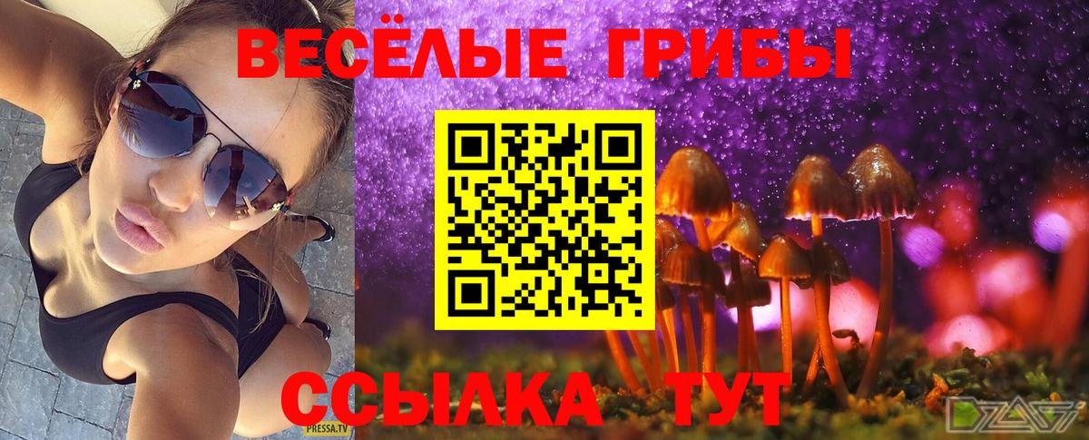 Галлюциногенные грибы Psilocybine cubensis Воронеж